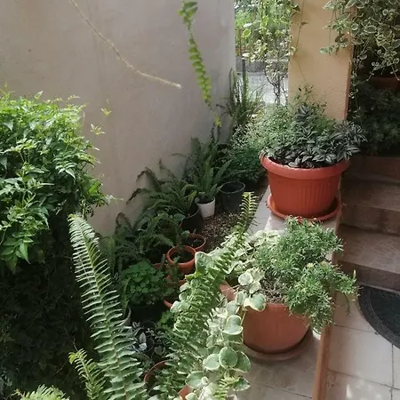 Apartament Lea Split